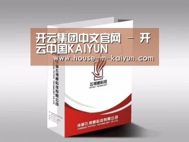 项目名称十三