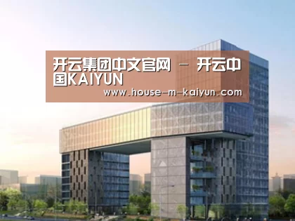 案例展示四