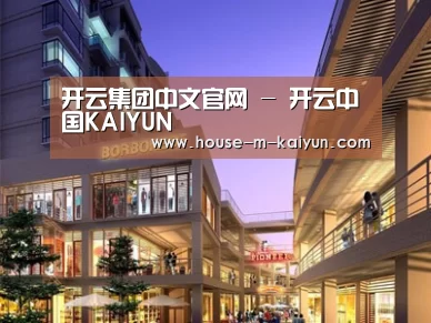 案例展示一