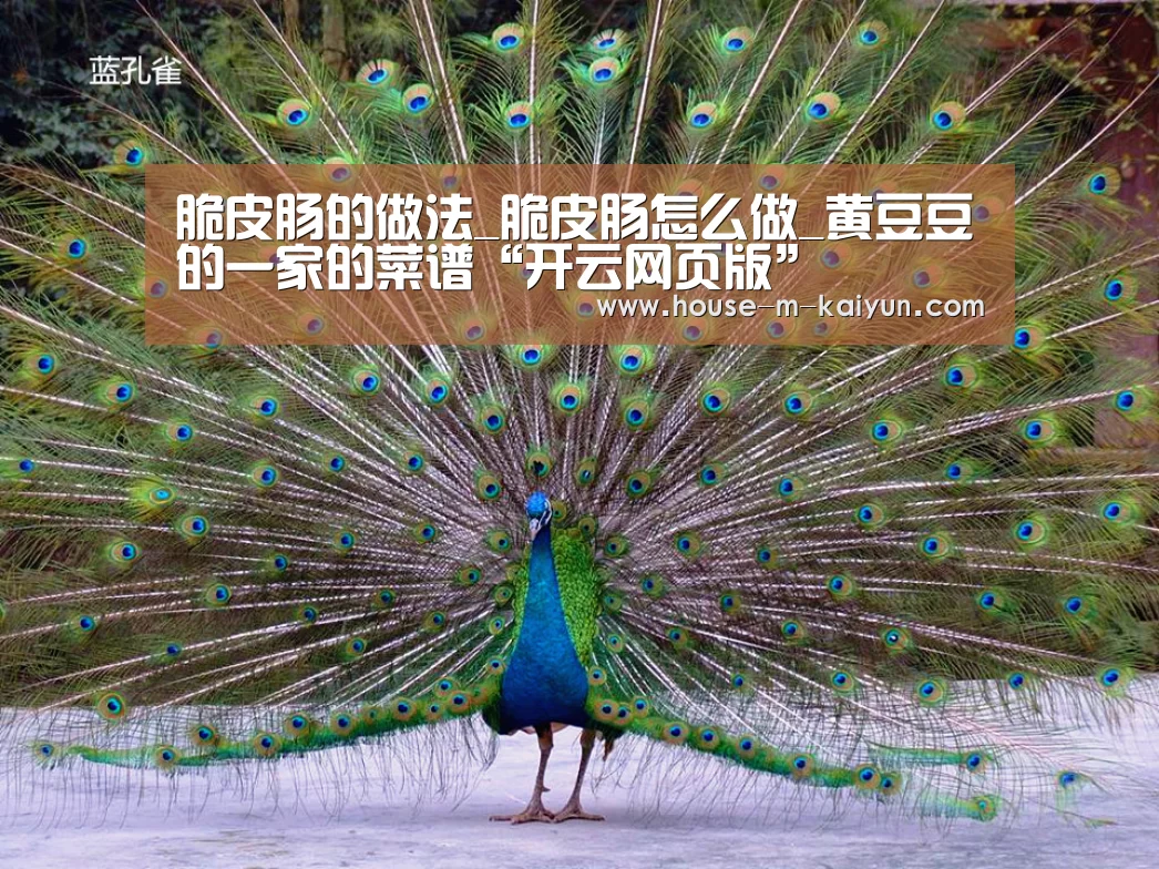 开云网页版
