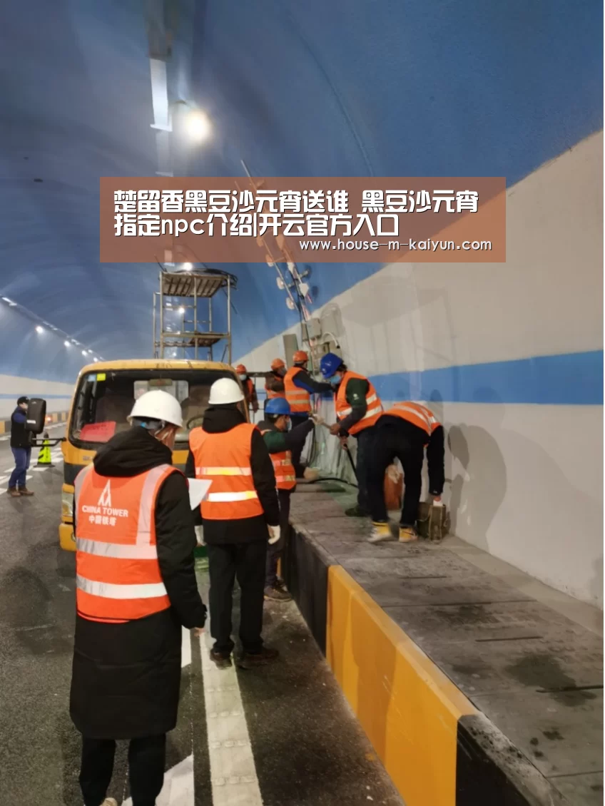 楚留香黑豆沙元宵送谁 黑豆沙元宵指定npc介绍|开云官方入口(图1) 开云在线平台