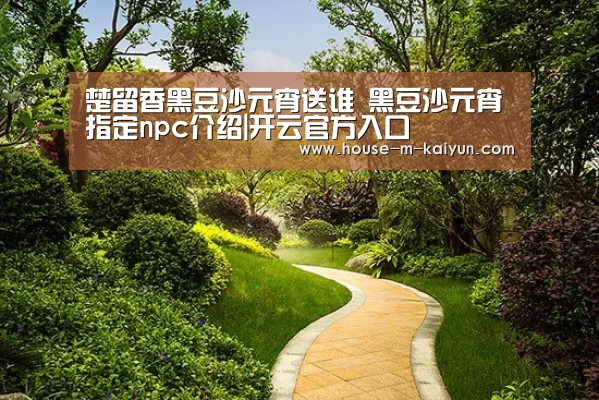 楚留香黑豆沙元宵送谁 黑豆沙元宵指定npc介绍|开云官方入口(图2) 开云官网